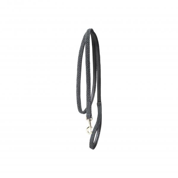 Kentucky Gevlochten Nylon hondenriem
