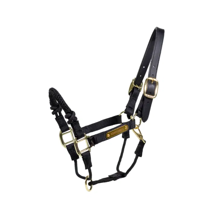 Kentucky Control Halster