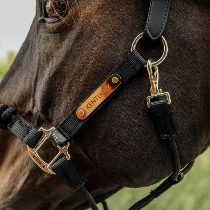 Kentucky Control Halster