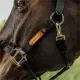 Kentucky Control Halster