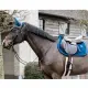 Kentucky Springonderlegger Velvet Cob en Pony