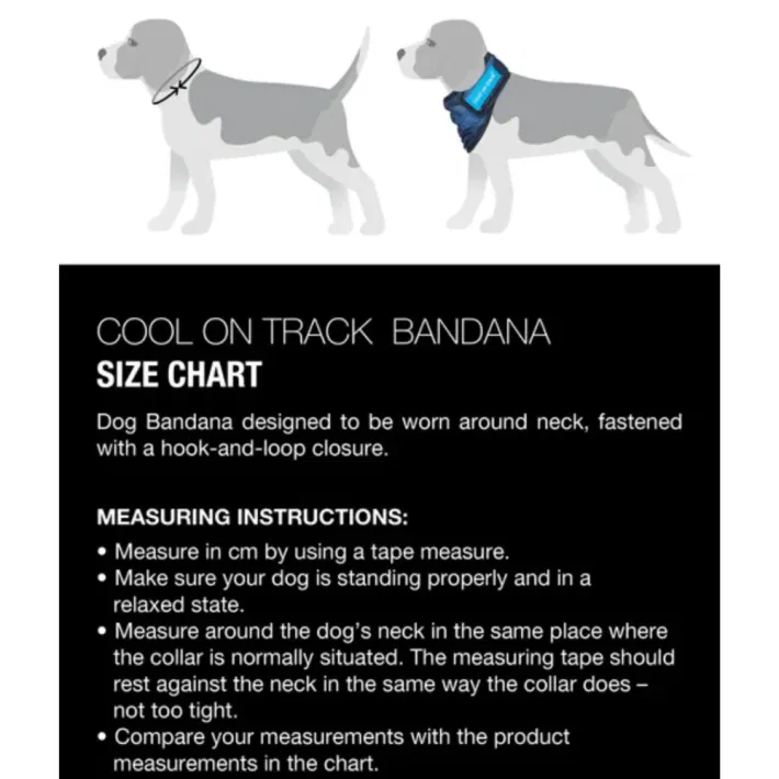 Back on Track Cool on Track Hondenbandana