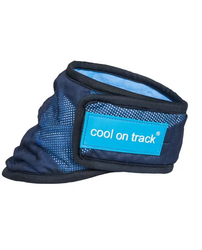 Back on Track Cool on Track Hondenbandana
