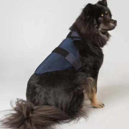 Back on Track Cool On Track Koelvest voor honden