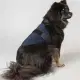 Back on Track Cool On Track Koelvest voor honden
