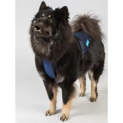 Back on Track Cool On Track Koelvest voor honden