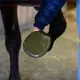 Kentucky Hoeftape