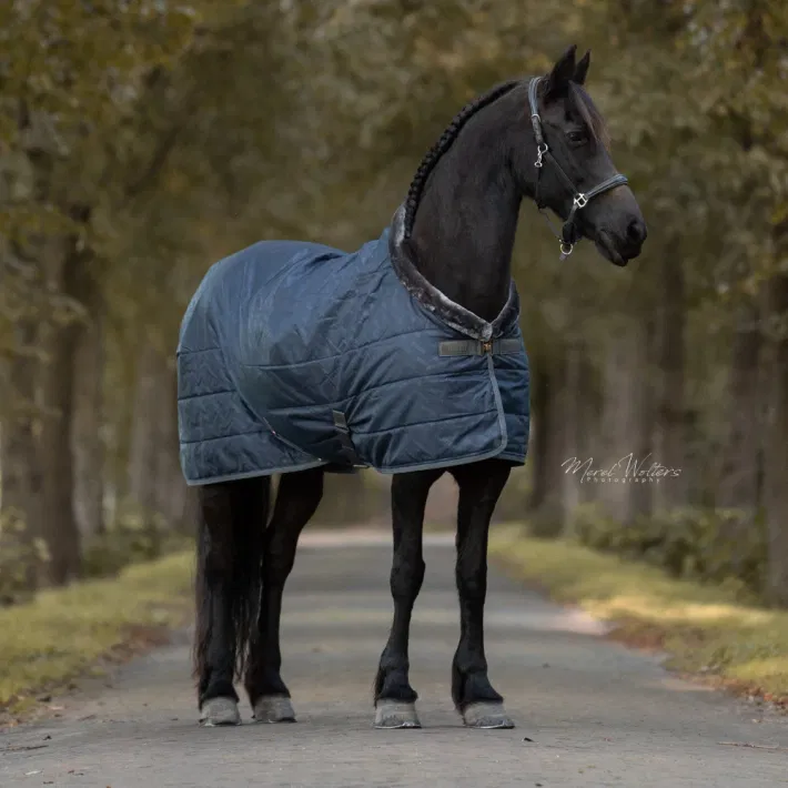 Bucas Staldeken Show-Line 150 gram