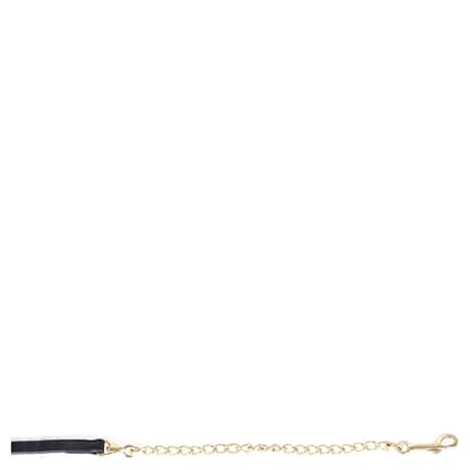 Premiere hengstenketting