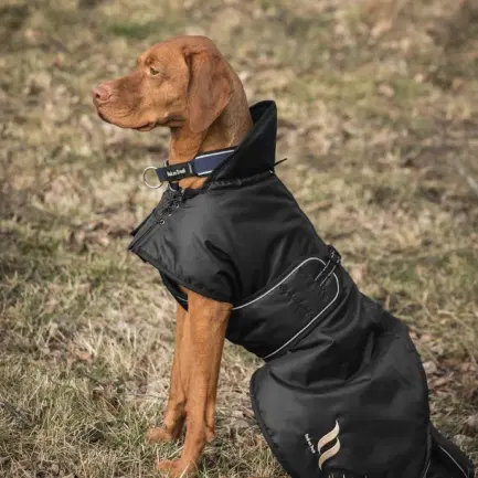 Back on Track Stanley Honden winterdeken 110 gram