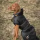 Back on Track Stanley Honden winterdeken 110 gram
