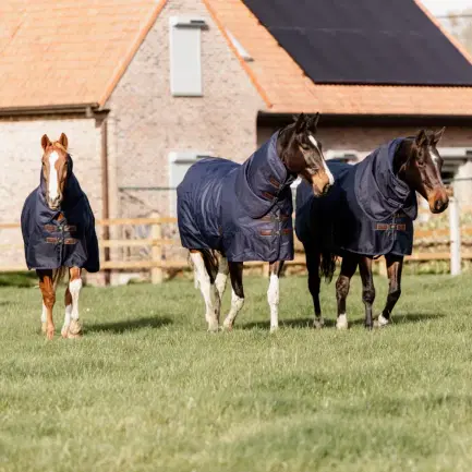 Kentucky Turnout Rug All Weather Quick Dry Fleece