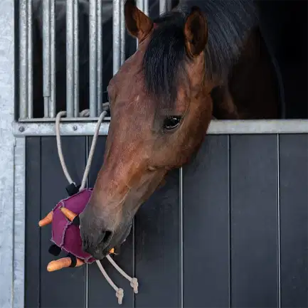 QHP Horse Toy Ball