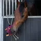 QHP Horse Toy Ball