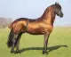 QHP Eczeemdeken Big neck