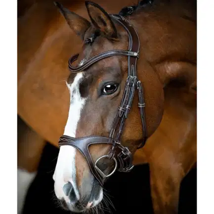 Montar Monarch Jumping hoofdstel bruin