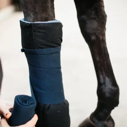 Kentucky Magnetische Bandage Pad Recuptex