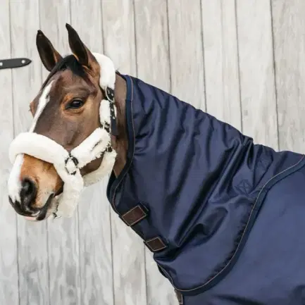 Kentucky All Weather Waterproof Pro losse hals 0 gram