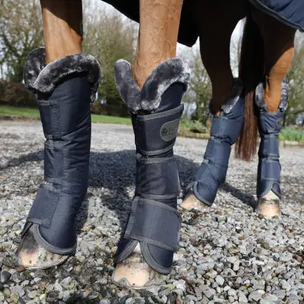 Bucas Transportbeschermers Show-Line
