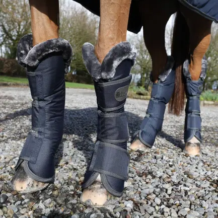Bucas Transportbeschermers Show-Line