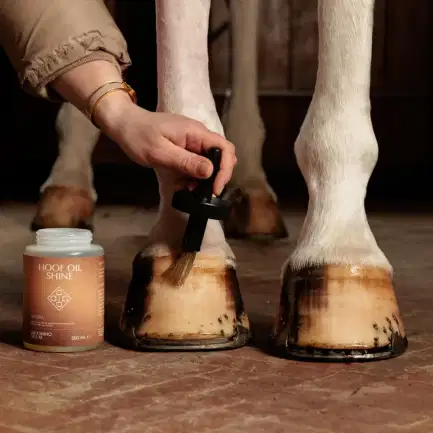 Grooming Deluxe Hoof Oil Shine