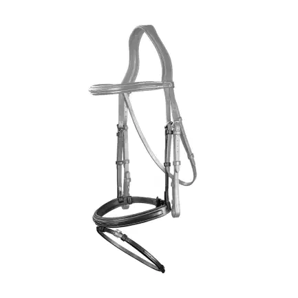 Dy\'on Flash neusriem US Collection