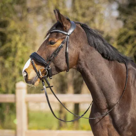 QHP hoofdstel Skye