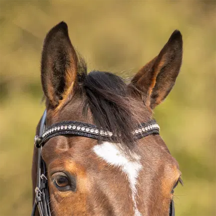 QHP hoofdstel Skye