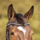QHP hoofdstel Skye