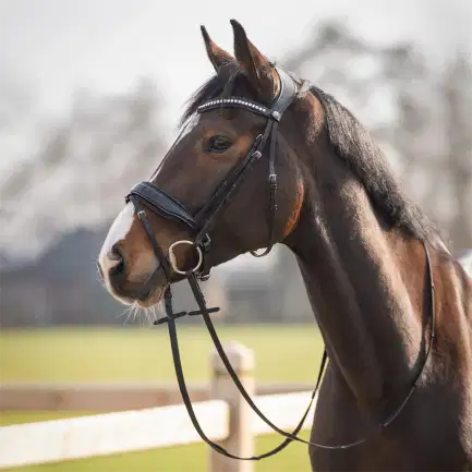 QHP hoofdstel Skye