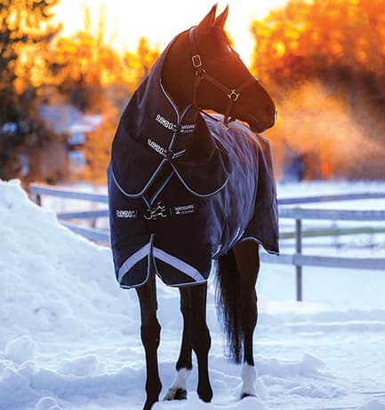 Horseware Rambo Duo 100 gram met hals en 300 gram liner
