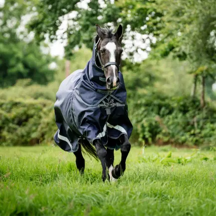 Rambo Optimo Plus Turnout 0 gram
