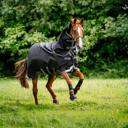 Horseware Rambo 1680D Plus Vari-Layer 450 gram