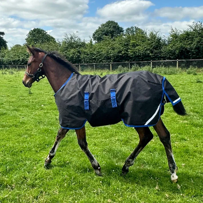 Horseware Amigo veulendeken 900D 200 gram