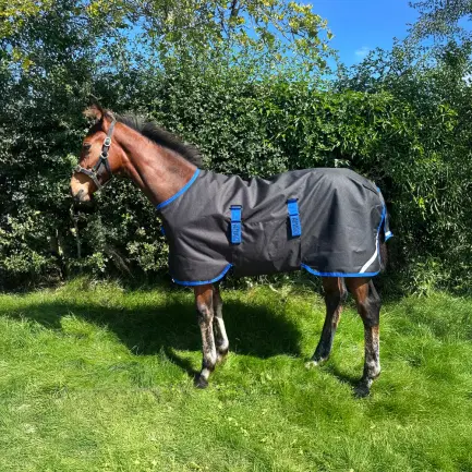 Horseware Amigo veulendeken 900D 200 gram
