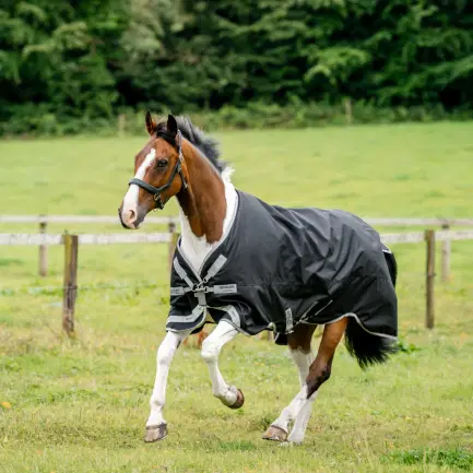 Horseware Amigo 1200 D Turnout 100 gram