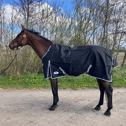 AB Winterdeken Black Normale Hals 300 gram