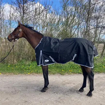 AB Regendeken Black