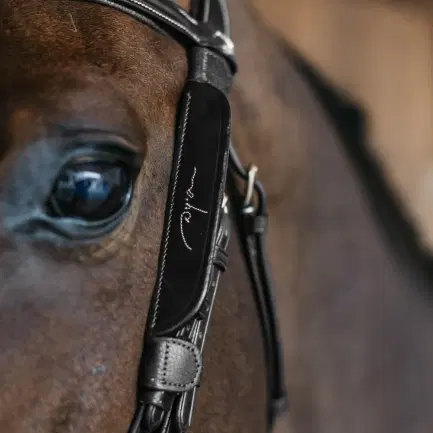 Dyon Blinkers Fancy