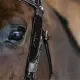 Dyon Blinkers Fancy