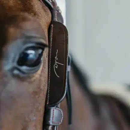 Dyon Blinkers Fancy