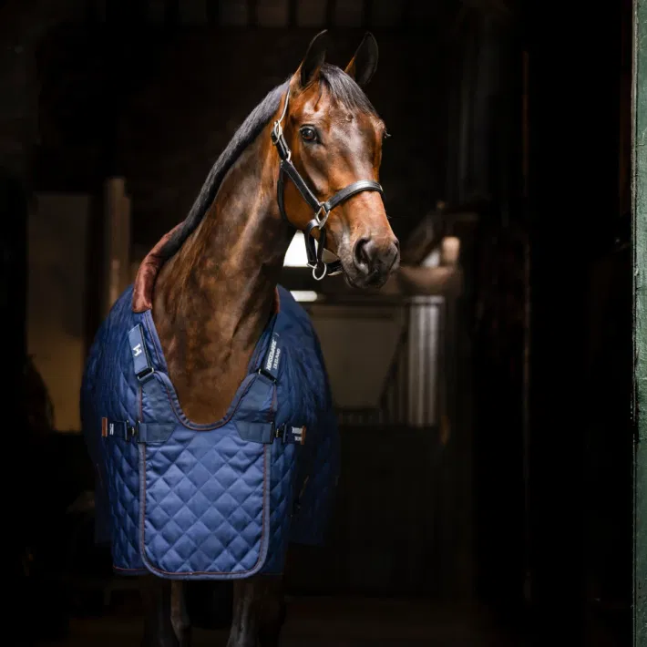 Horseware Signature Stable 200 gram