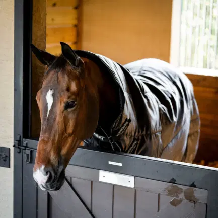 Horseware Amigo Ripstop Insulator Plus Stable 200 gram