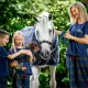 Horseware Rhino Check Fleece deken Pony