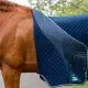 Horseware Thermal Cooler