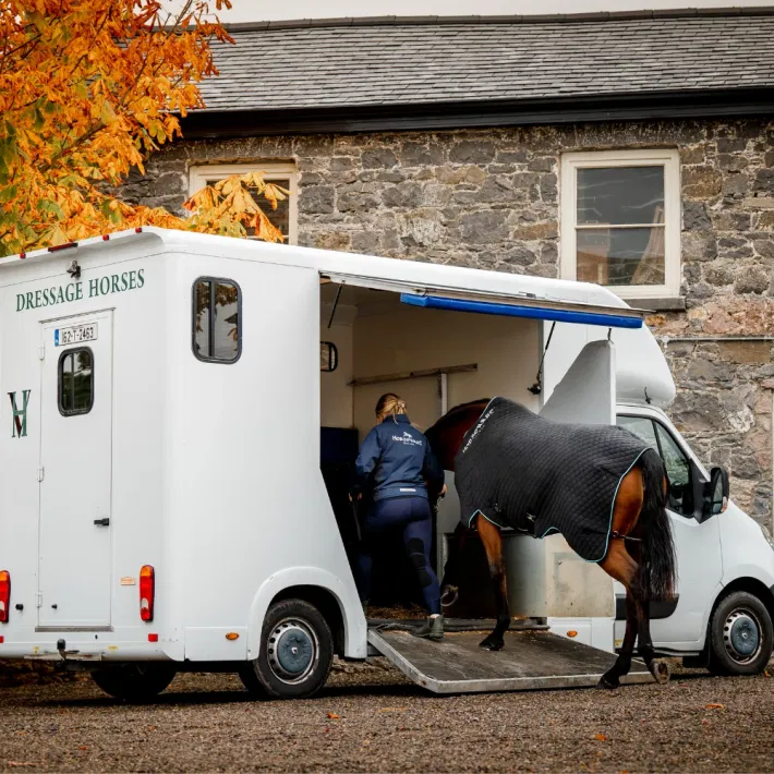 Horseware Thermal Cooler