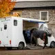Horseware Thermal Cooler