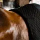 Horseware Thermal Cooler