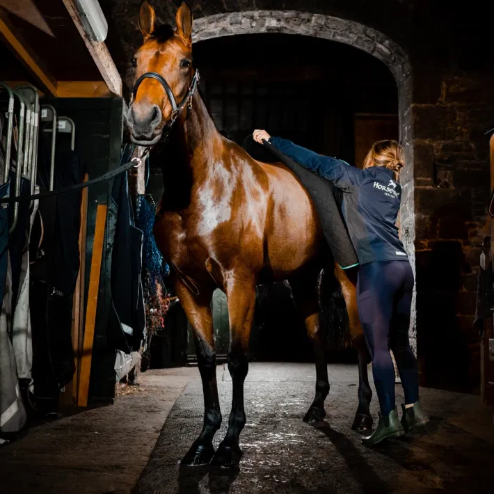 Horseware Thermal Cooler
