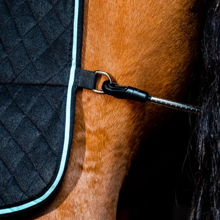 Horseware Thermal Cooler